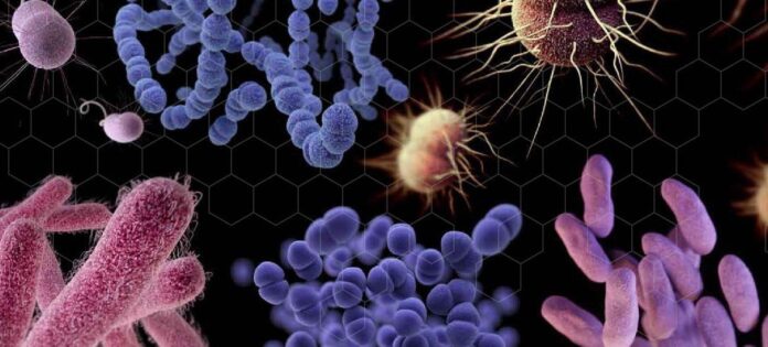 Com pessoas vacinadas baixa a incidência de infecções e aumenta a proteção contra potenciais complicações causadas por infecções secundárias Com pessoas vacinadas baixa a incidência de infecções e aumenta a proteção contra potenciais complicações causadas por infecções secundárias