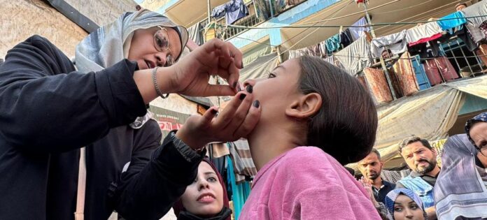 Autoridades em Gaza alertam ser “obrigatório interromper o surto de poliomielite o mais rapidamente possível” Autoridades em Gaza alertam ser “obrigatório interromper o surto de poliomielite o mais rapidamente possível”